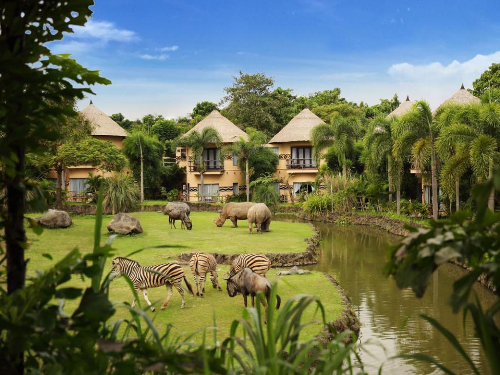 Serunya Menginap Ala Afrika di Mara River Safari Lodge