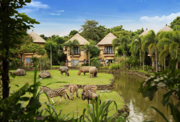 Serunya Menginap Ala Afrika di Mara River Safari Lodge