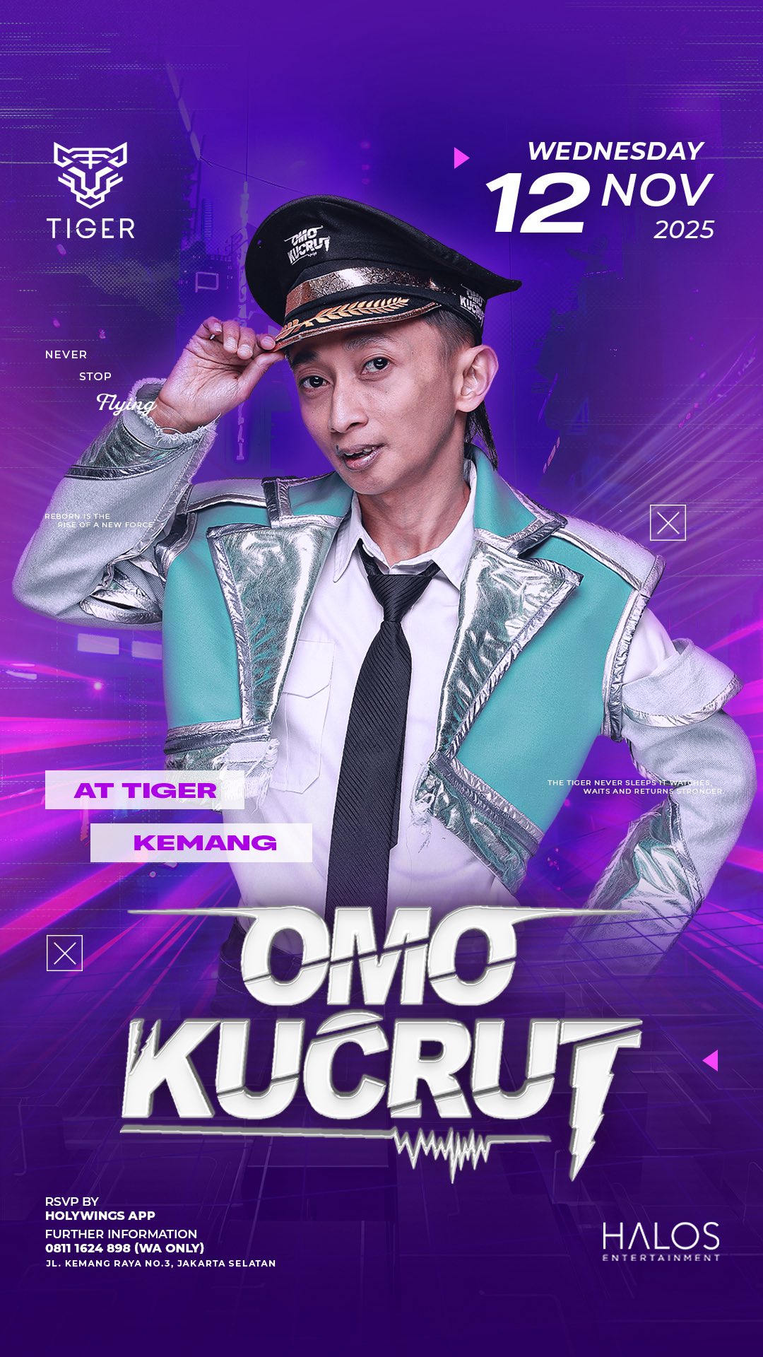 GOLDEN TIGER KEMANG JAKARTA - OMO KUCRUT