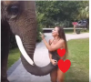 Waduh, Gajah di Taman Safari ini Meraba Payudara Model Majalah Playboy