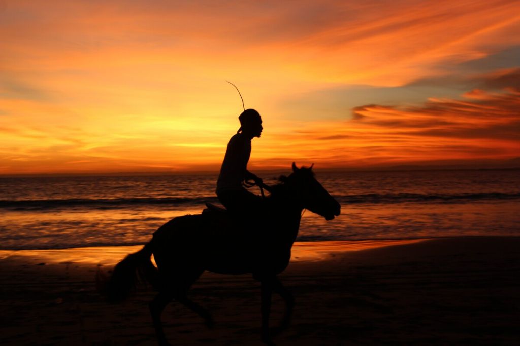 Olahraga Sultan, Berkuda Punya Segudang Manfaat