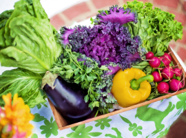 Diet Sehat dan Cepat dengan Sayur-sayuran Ini