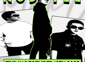 SHAMROCK GANDARIA JAKARTA - ROBSTEE