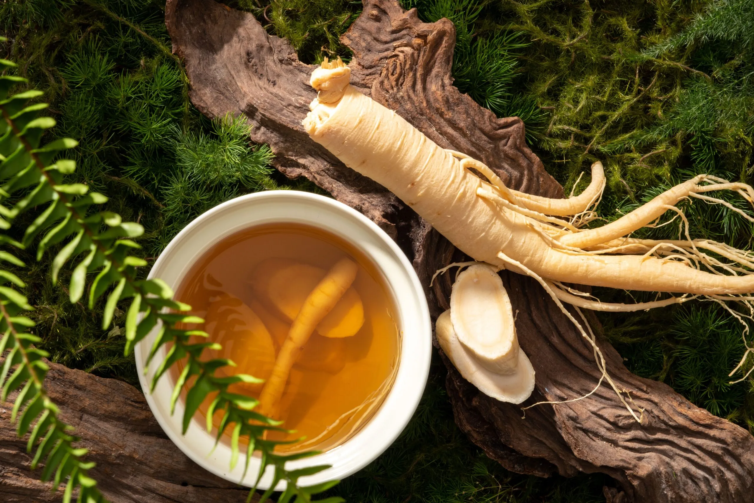 Ginseng, Rahasia Vitalitas dari Alam