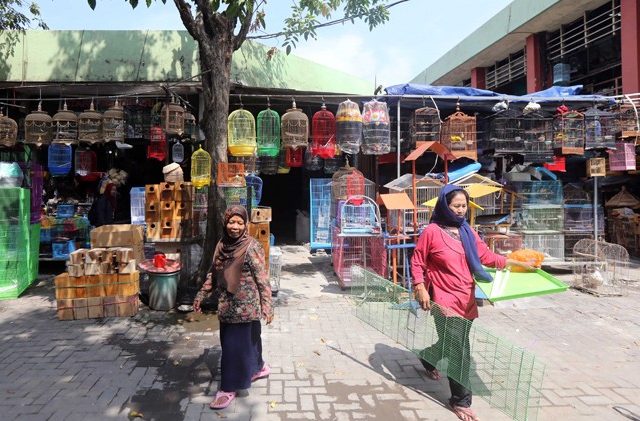 Dolly Tutup, 'Bisnis' Pindah ke Panti Pijat
