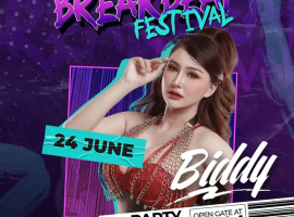 PARTY STATION GUNAWARMAN - BREAKBEAT FESTIVAL (BIDDY)
