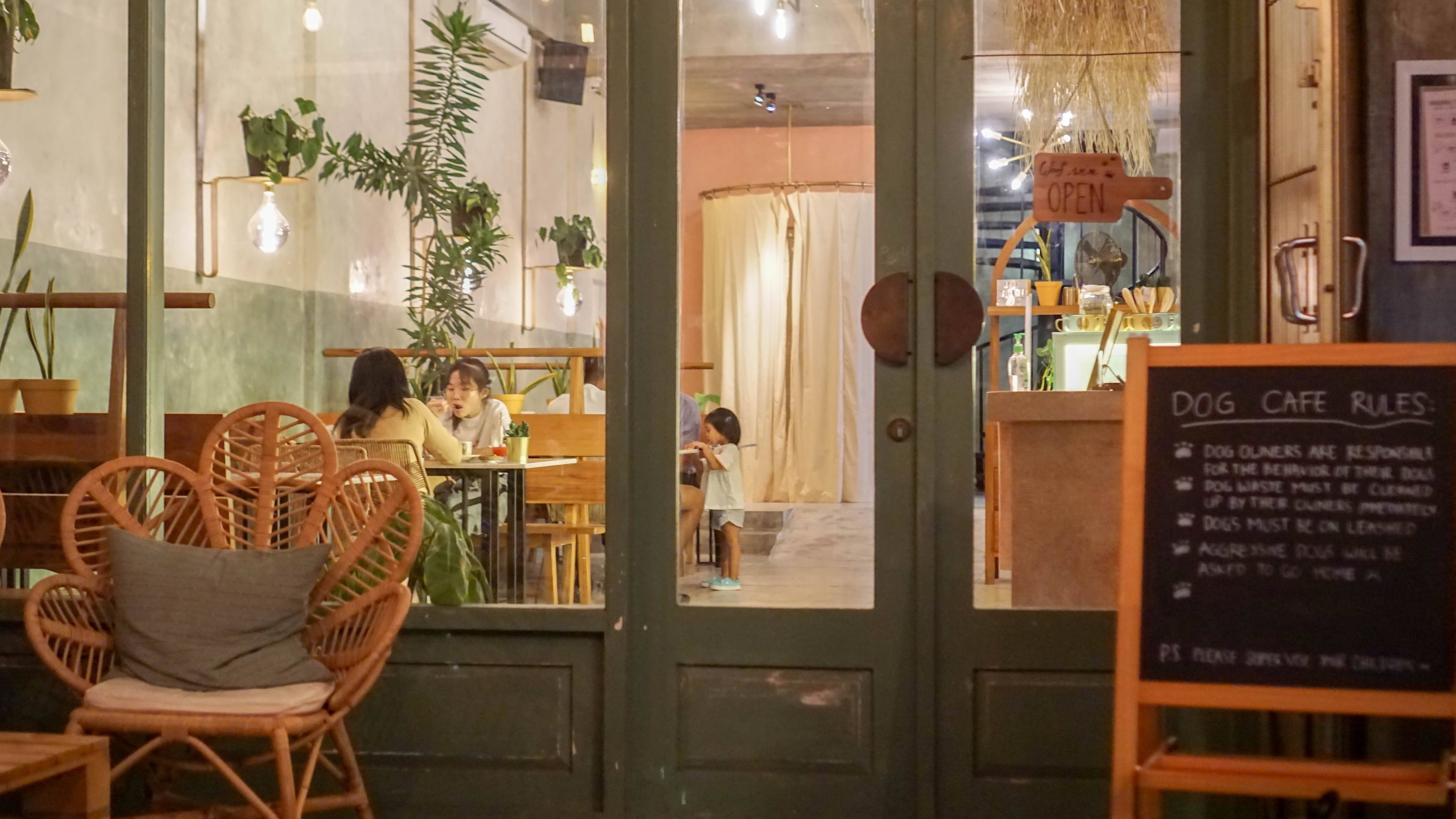 Dear Lucy Cafe Legian, Berburu Foto Instagramable di Dog Cafe