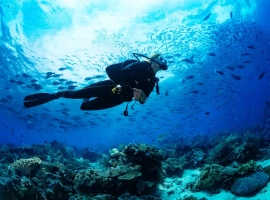 Surga Bawah Laut! Rekomendasi Spot Diving Terindah di Asia