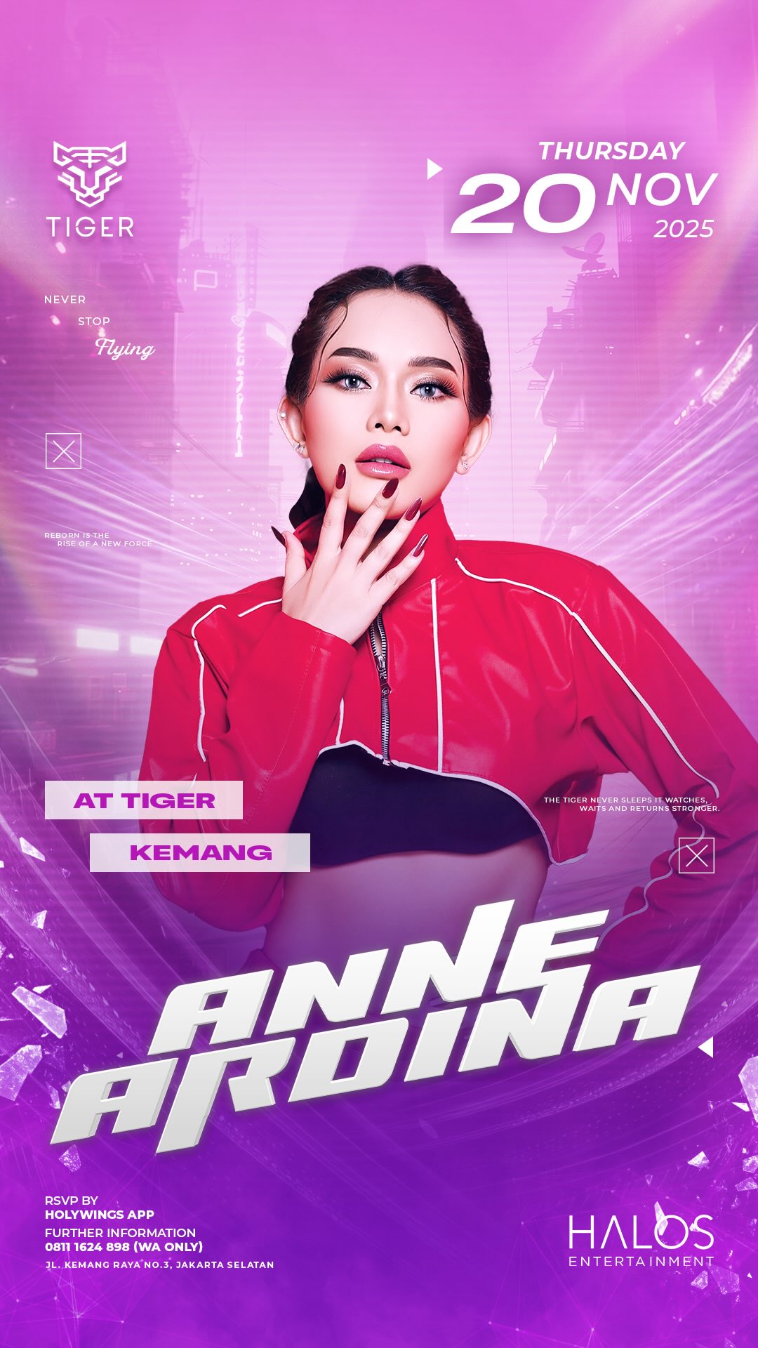GOLDEN TIGER KEMANG JAKARTA - ANNE ARDINA