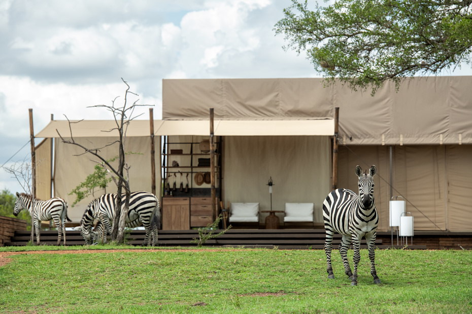 Glamping Mewah? Ini Lokasi yang Bisa Kalian Tuju!