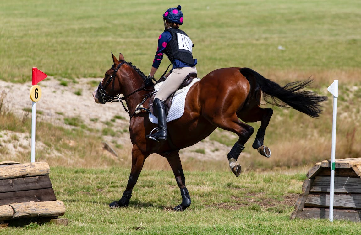 Olahraga Sultan, Berkuda Punya Segudang Manfaat
