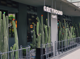 Tongkrongan Kuliner Ala Thailand Hanya Di Greyhound Cafe Tanah Abang