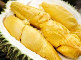 Ini Manfaat Durian untuk Tubuh Anda