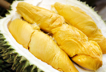 Ini Manfaat Durian untuk Tubuh Anda