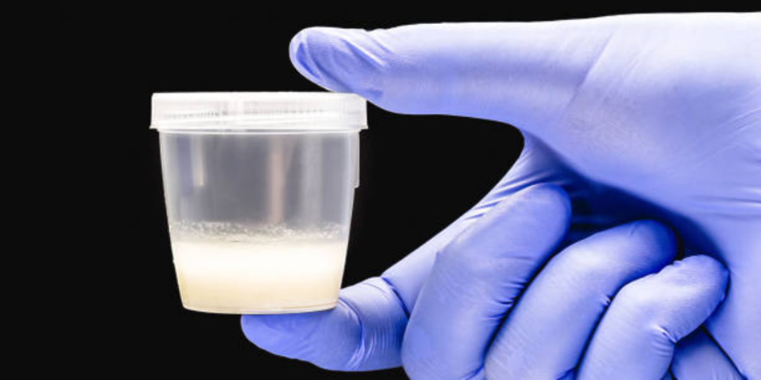 Wortel, Sayur Sehat untuk Mata dan Sperma