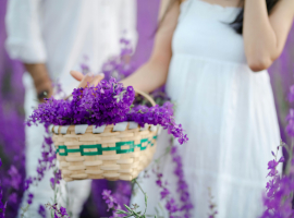 Lavender Marriage, Ketika Nikah Hanya Demi Status