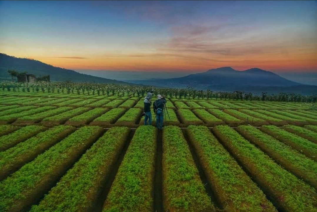 Tanpa Paspor, Ini 5 Destinasi Sejuk di Indonesia