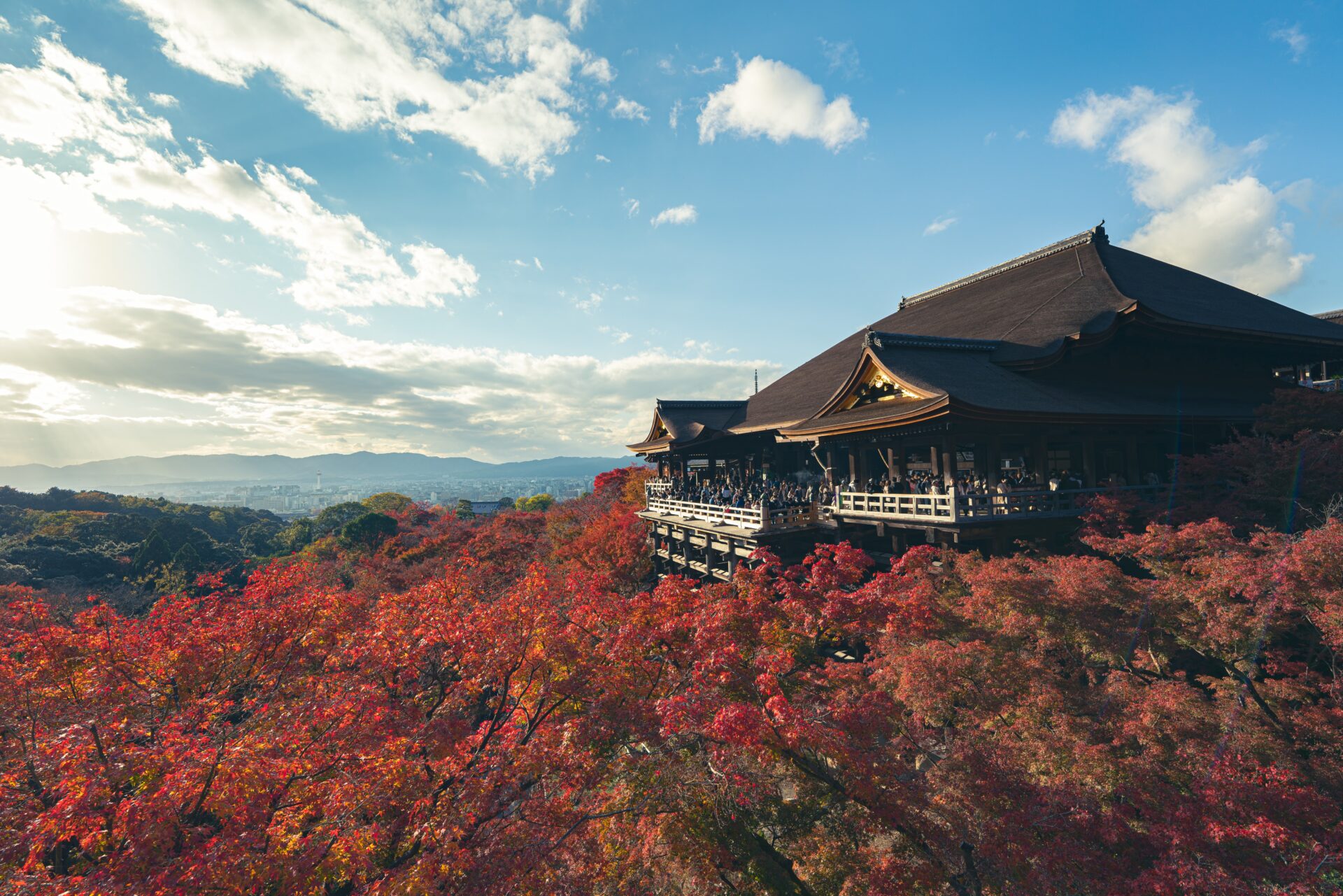 Rekomendasi Wisata ke Negeri Sakura