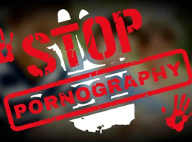 Awas, Kenali Bahaya Pornografi Terhadap Otak dan Relationship