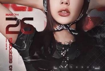 BLACK OWL GADING SERPONG - MOMSKI