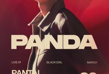 BLACK OWL PANTAI INDAH KAPUK - PANDA