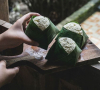 Berkenalan dengan Dangke, Keju Asli Indonesia