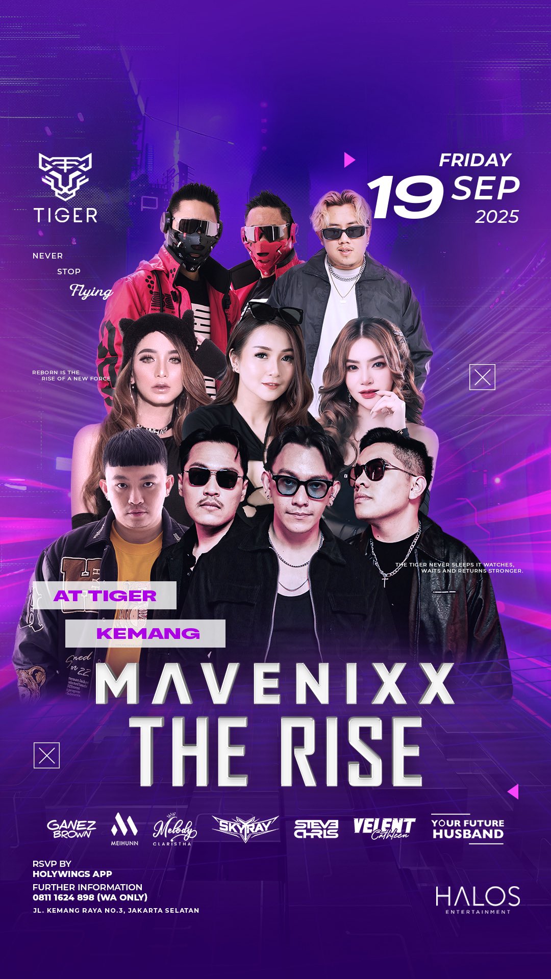 GOLDEN TIGER KEMANG JAKARTA - MAVENIXX THE RISE