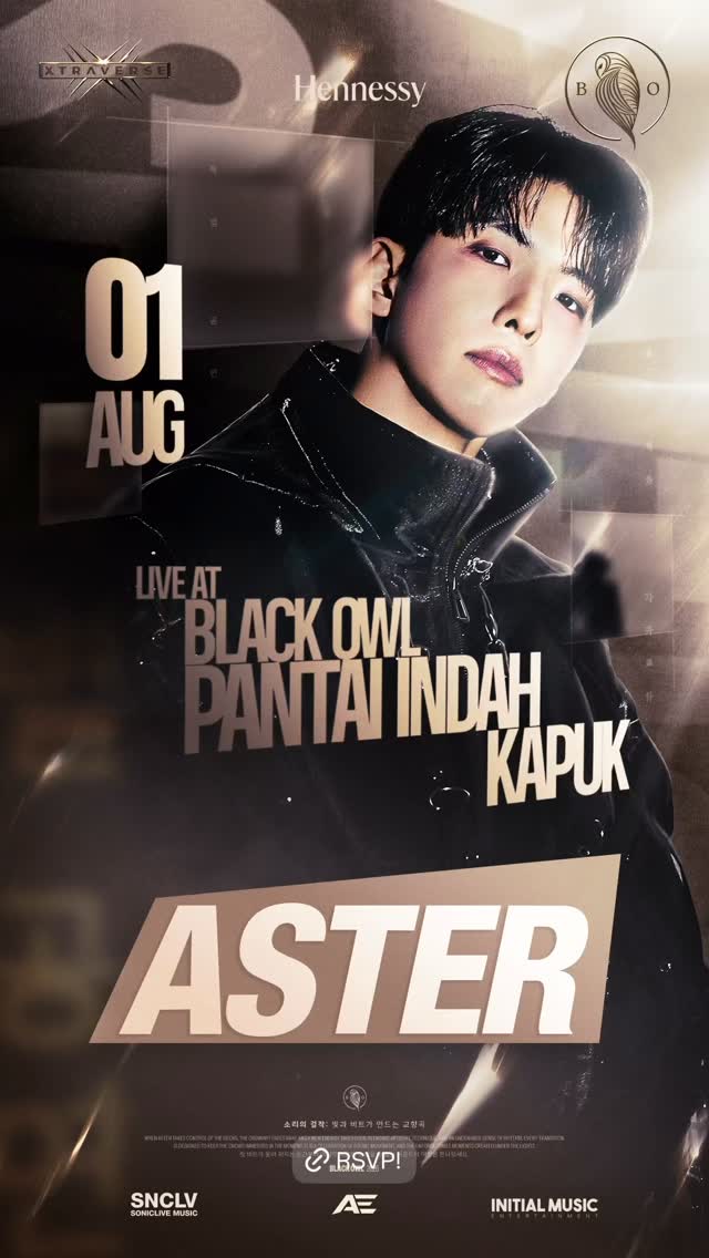 BLACK OWL PANTAI INDAH KAPUK - ASTER