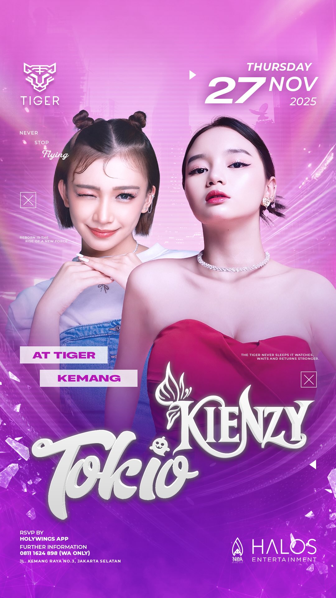 GOLDEN TIGER KEMANG JAKARTA - TOKIO X KIENZY