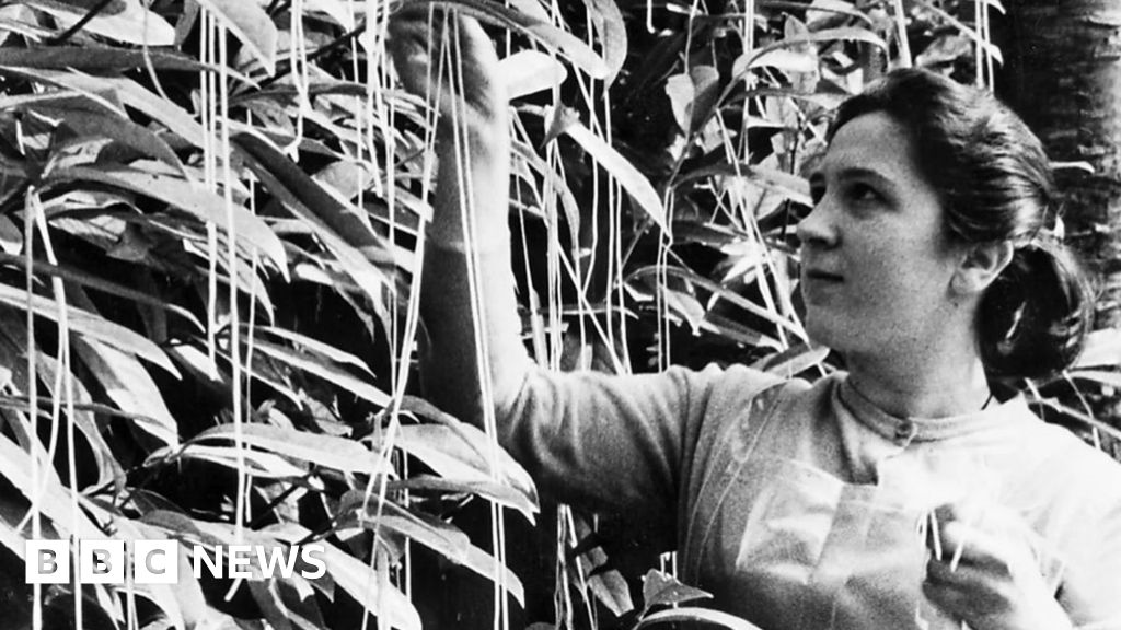 Ternyata Ini Asalnya April Mop, Hari Penuh Canda Sedunia